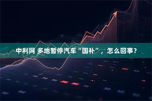 中利网 多地暂停汽车“国补”，怎么回事？