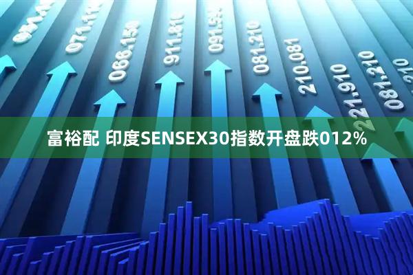 富裕配 印度SENSEX30指数开盘跌012%