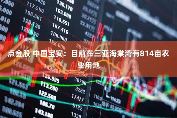 点金股 中国宝安：目前在三亚海棠湾有814亩农业用地