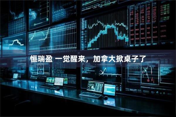 恒瑞盈 一觉醒来，加拿大掀桌子了