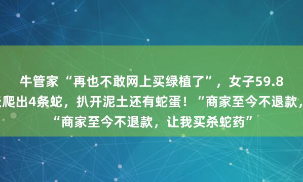 牛管家 “再也不敢网上买绿植了”，女子59.8元买的盆栽18天爬出4条蛇，扒开泥土还有蛇蛋！“商家至今不退款，让我买杀蛇药”